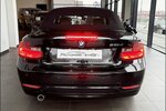 BMW 218d Cabrio Aut. Xenon Navi PDC Tempo Klimaauto 120.000 km 15.990 &euro; Stade 21682
