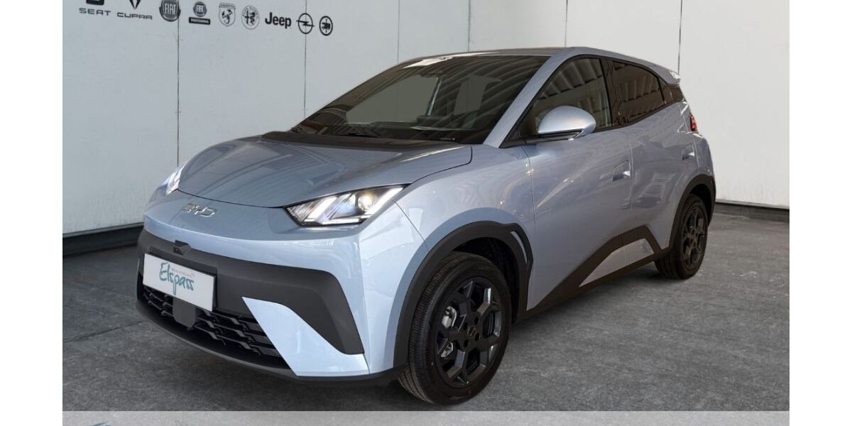 BYD DOLPHIN SURF 3.000 km 23.184 &euro; Dinslaken 46539