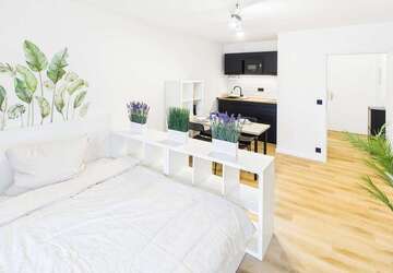 Wohnung Konstanz Konstanz-Petershausen-West - 1 Zimmer, 29 m&sup2;, 900&euro; | Angebot:27308084