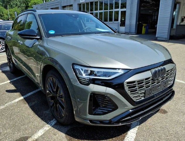 Audi Q8 e-tron 51.104 km 54.780 &euro; Schwäbisch Gmünd 73527