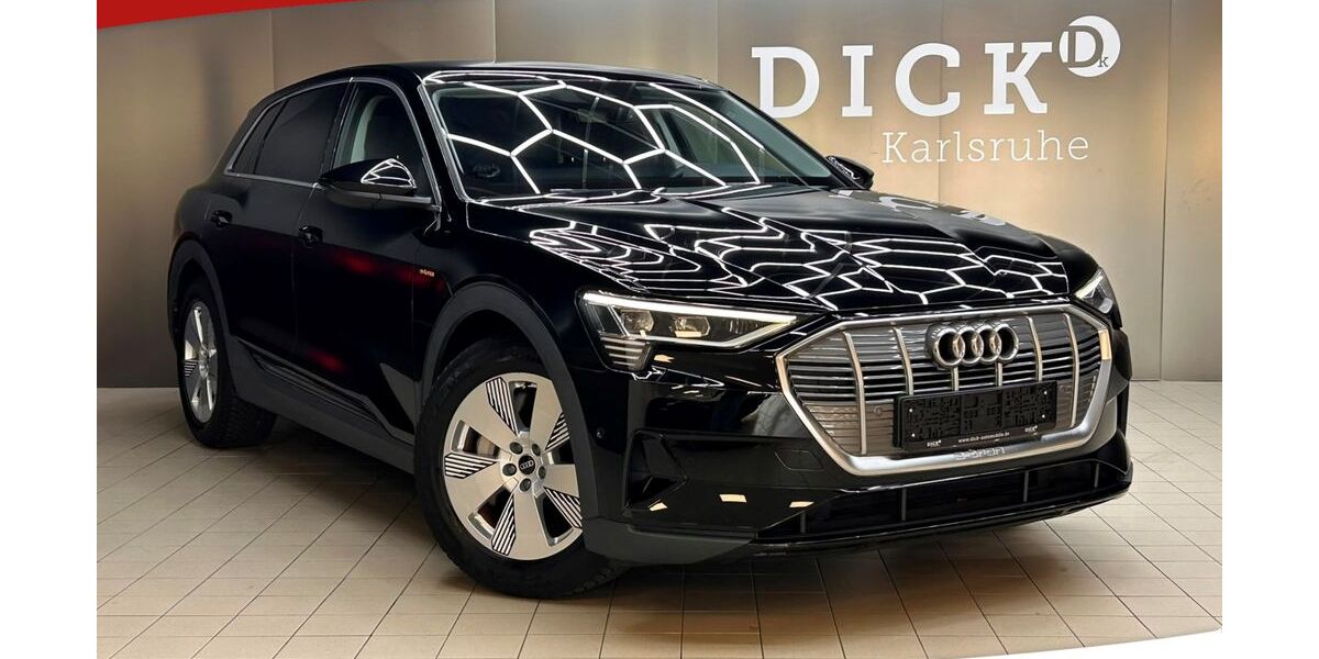 Audi e-tron 14.949 km 25.950 &euro; Karlsdorf-Neuthard 76689