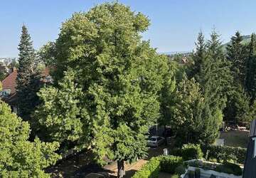 Wohnung zum Mieten in Heilbronn 1.200 € 121 m² - Wohnung Heilbronn Kernstadt | Angebot:27311373