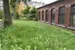 Ab 01.10. großzügig Wohnen in FalkensteinVogtl. - Erstbezug nach hochwertiger Sanierung! - Erdgeschoßwohnung Falkenstein | Angebot:27085313