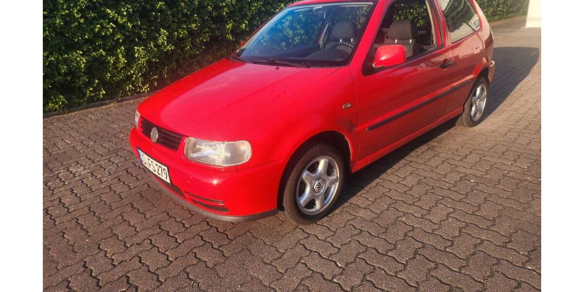 VW Polo 174.800 km 1.000 &euro; Reinfeld (Holstein) 23858