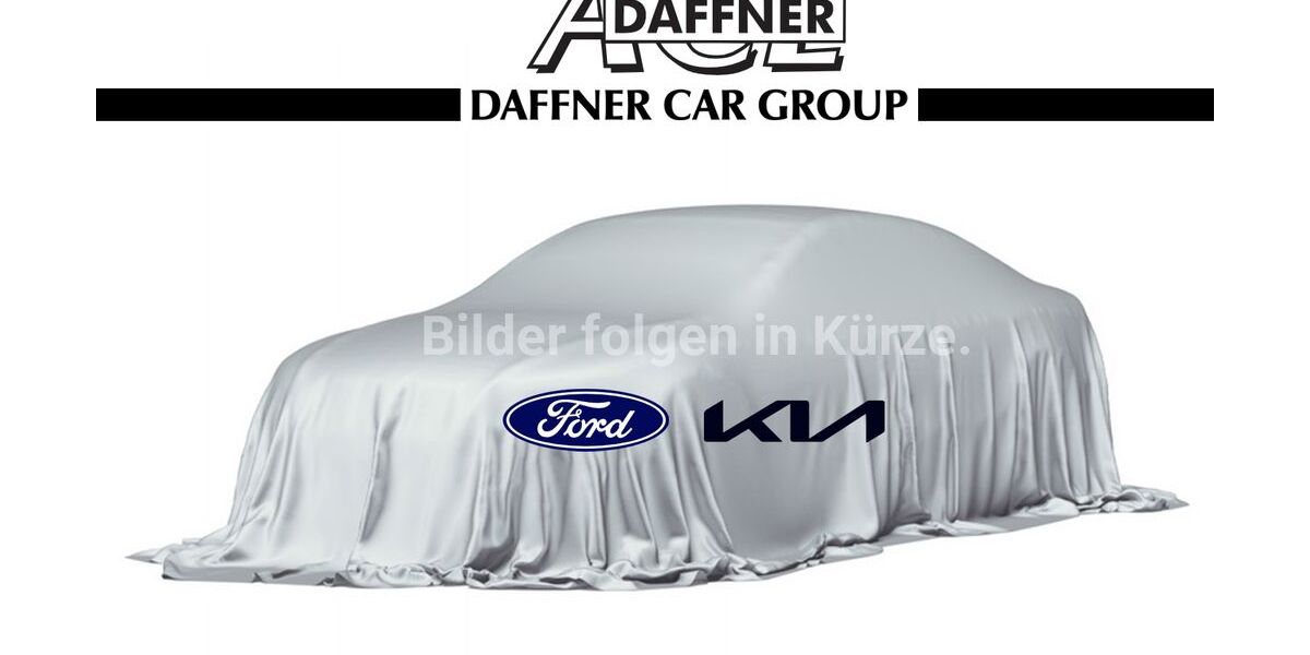 Ford Tourneo Custom 137.500 km 22.480 &euro; Leipzig 04179