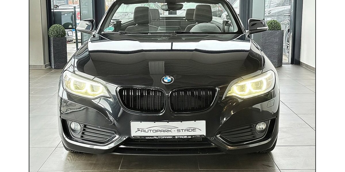 BMW 218d Cabrio Aut. Xenon Navi PDC Tempo Klimaauto 120.000 km 15.990 &euro; Stade 21682